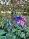 IMG_1806.jpeg