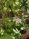 IMG_1804.jpeg