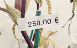 Senza titolo.png