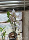 IMG_20260411_120958.jpg