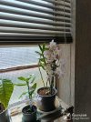 IMG_20260411_121014.jpg