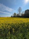 IMG_1821.jpeg