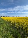 IMG_1818.jpeg