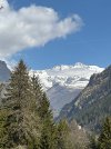 IMG_1940.jpeg