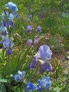 IMG_20260423_152153_593.jpg