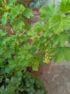 IMG_20260415_171925_931.jpg