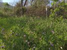 IMG_20260419_170313_625.jpg