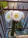 IMG_20260426_091625.jpg