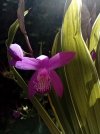 IMG_20260426_135553.jpg