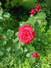 IMG_20260503_104421.jpg