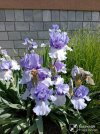 IMG_20260503_104929.jpg