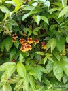 IMG_20260503_104139.jpg