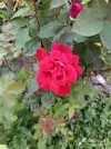 IMG_20260503_103904.jpg