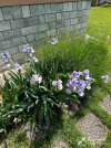 IMG_20260503_104916.jpg