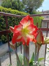 IMG_20260503_103540.jpg