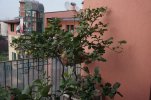 DSC05389a.jpg