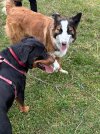 IMG_2054.jpeg