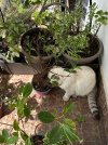 IMG_2082.jpeg