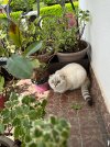 IMG_2081.jpeg