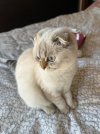 IMG_2080.jpeg
