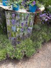 IMG_2294.jpeg