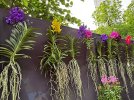 IMG_2341.jpeg