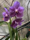 IMG_2390.jpeg
