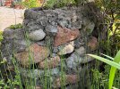IMG_2402.jpeg