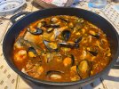IMG_2523.jpeg