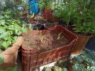photo_2026-05-17_21-25-53.jpg