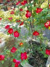 20260429_095032.jpg
