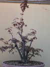 20260519_150554_resize_92.jpg