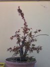 20260519_150621_resize_35.jpg