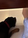 IMG_2560.jpeg