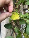 IMG_2743.jpeg