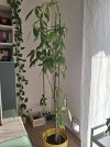 20260530_184731.jpg