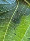 IMG_0259.jpeg