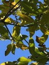 IMG6.jpg