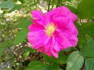 DSCF0007.JPG