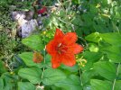 DSCF0008.JPG