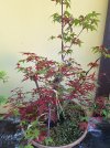 20260608_145107_resize_85.jpg 20260608_145107_resize_85.jpg