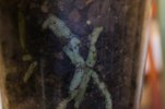 DSCF0058.jpg