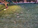 IMG-20260615-WA0035.jpg