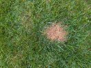 IMG-20260615-WA0034.jpg