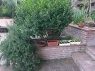 DSCF0004 (2).JPG