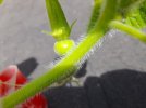 20260616_104110.jpg