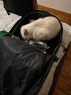 IMG_2664.jpeg