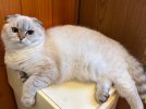 IMG_2657.jpeg