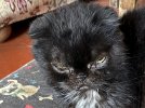 IMG_2643.jpeg