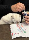 IMG_2667.jpeg